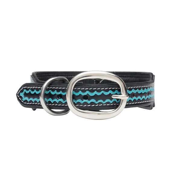 Myra Durango Daisy Hand Tooled Dog Collar