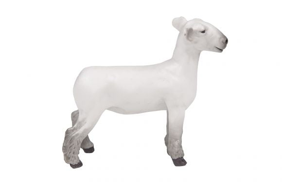 Dorset Lamb